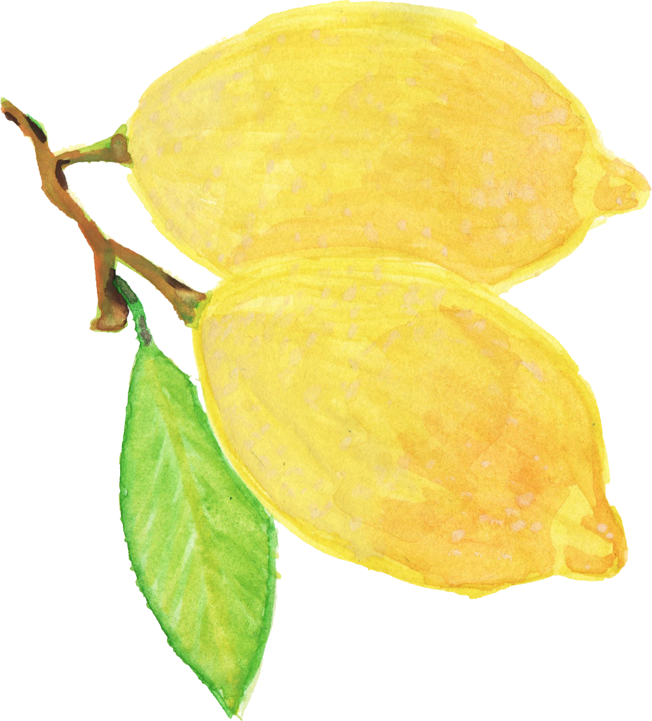 Free Download - Watercolor Flower Yellow Transparent (1280x1415)