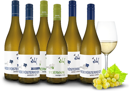 Probierpaket Weißweine Vom Weingut Zahel Mit 6 Flaschen - Wine Bottle (563x420)