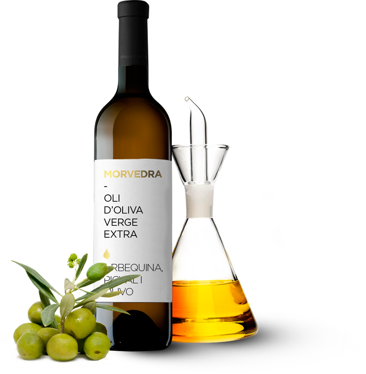 Extra Virgin Olive Oil Made In Menorca - Alimentos De Origem Vegetal (749x764)