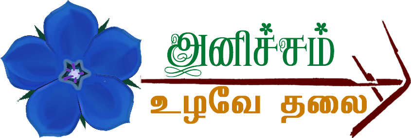 Organic Fertilisers Enhanced - Blue Rose (845x285)