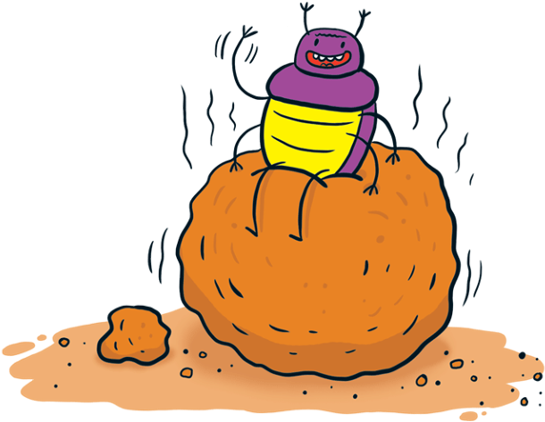 Previous / Next Image Thumbnails - Pumpkin (670x511)