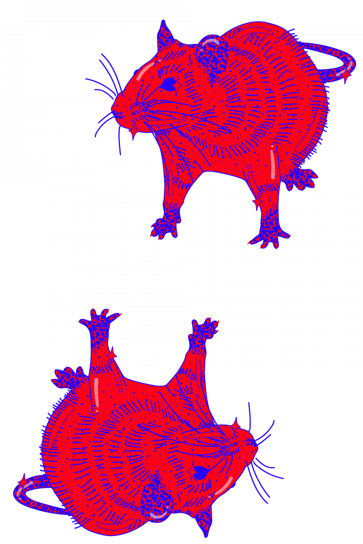 The Rat Past Years - Horoscope (720x1080)