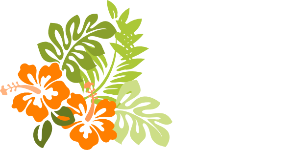 Hawaiian Flower Clipart - Hibiscus Clipart (600x307)