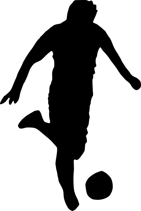 Free Png Football Player Silhouette Png Images Transparent - Portable Network Graphics (480x719)