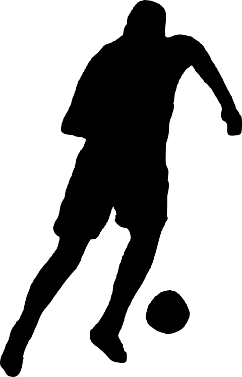 Free Png Football Player Silhouette Png Images Transparent - Football Player (480x747)
