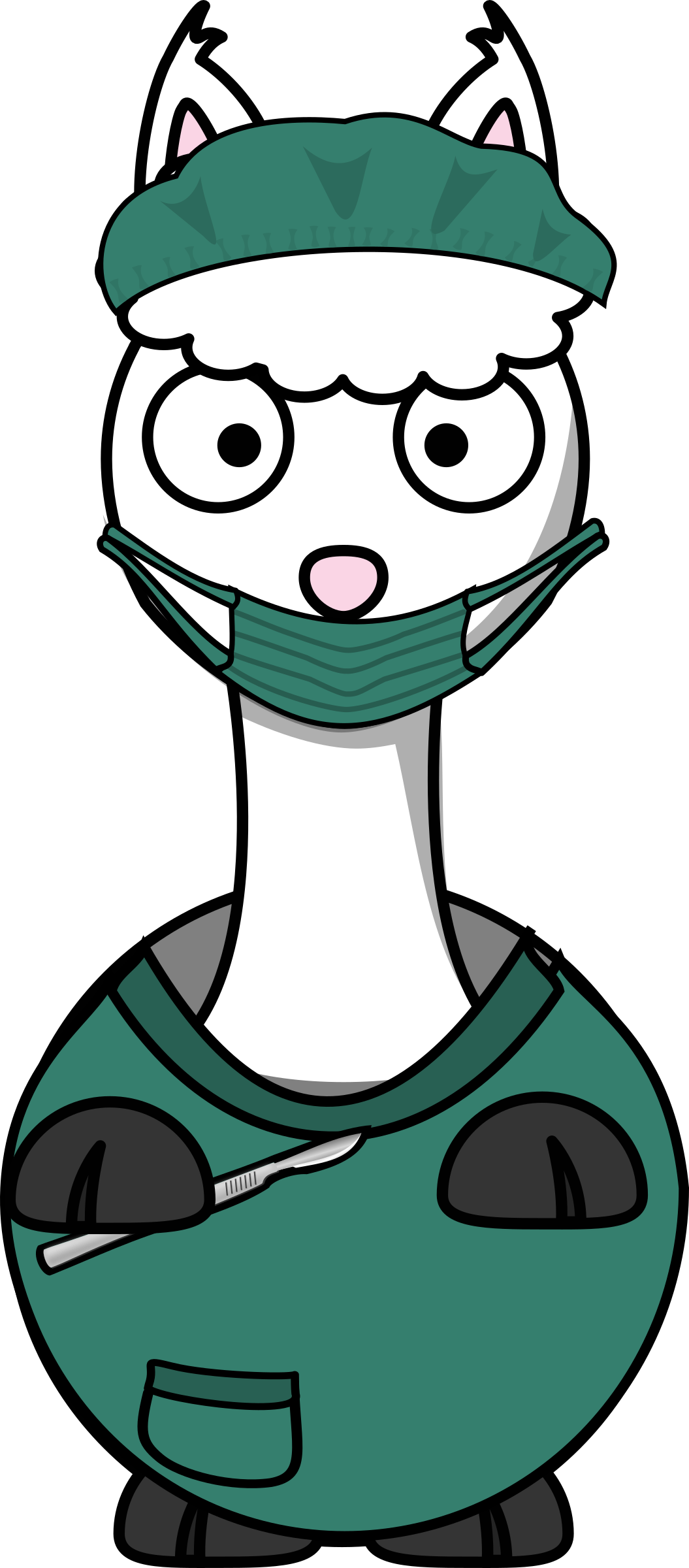 Png - Cartoon Llama Shower Curtain (1055x2400)