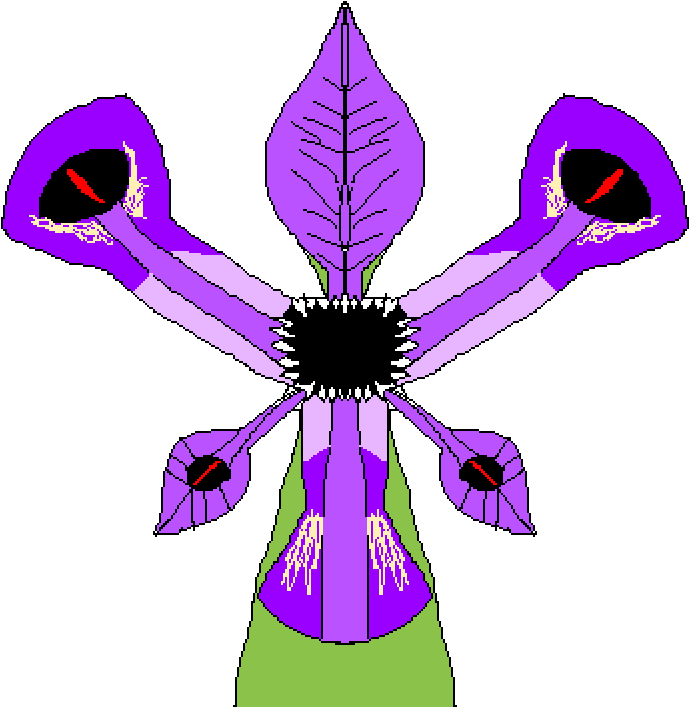 Demonic Iris Flower - Irises (1000x800)