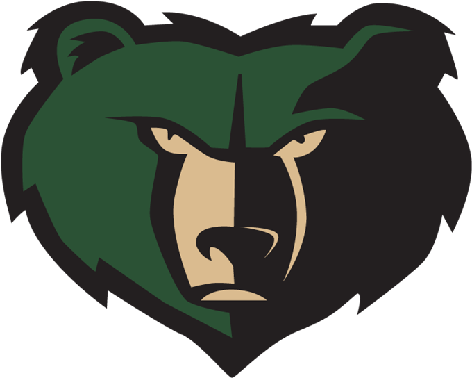 College Softball Resources - Basha High School Baseball (695x559)