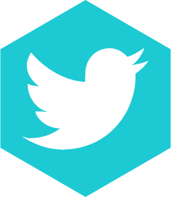Twitter Icon - Transparent Background Twitter Logo (348x400)