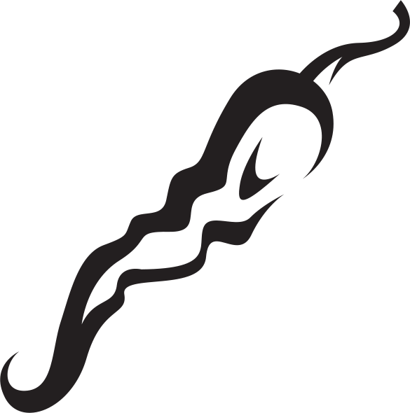Line Animal Black M Clip Art - Line Animal Black M Clip Art (585x590)