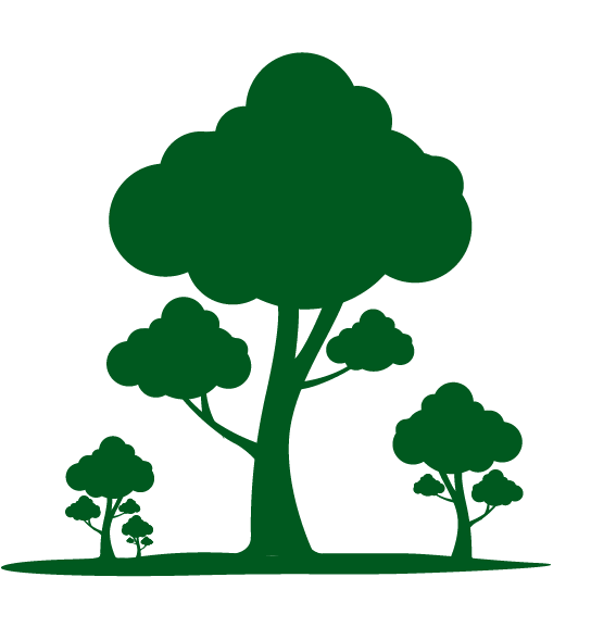 Day 4 Strengthening The Connection - Ways To Conserve Trees (573x588)