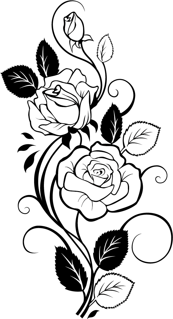 Rose Drawing Vine Clip Art - Rose Design For Drawing (700x1225)