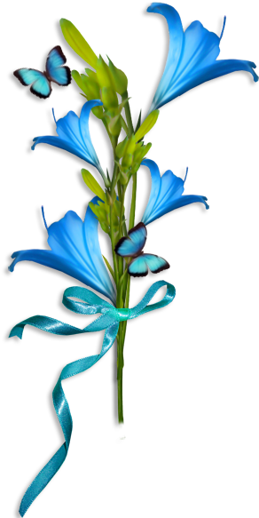 Fleurs Des Jardins Des Champs - Clip Art (304x599)