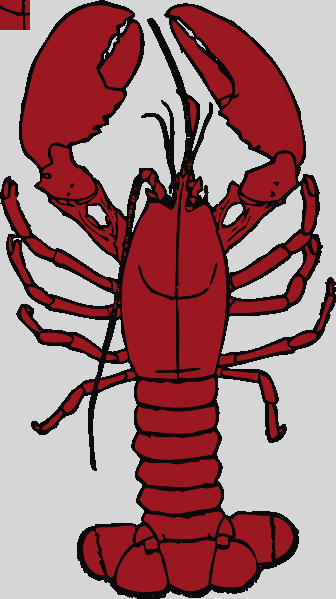 Lobster Clip Art Images Lobster Clipart - Red Lobster Clip Art (336x599)