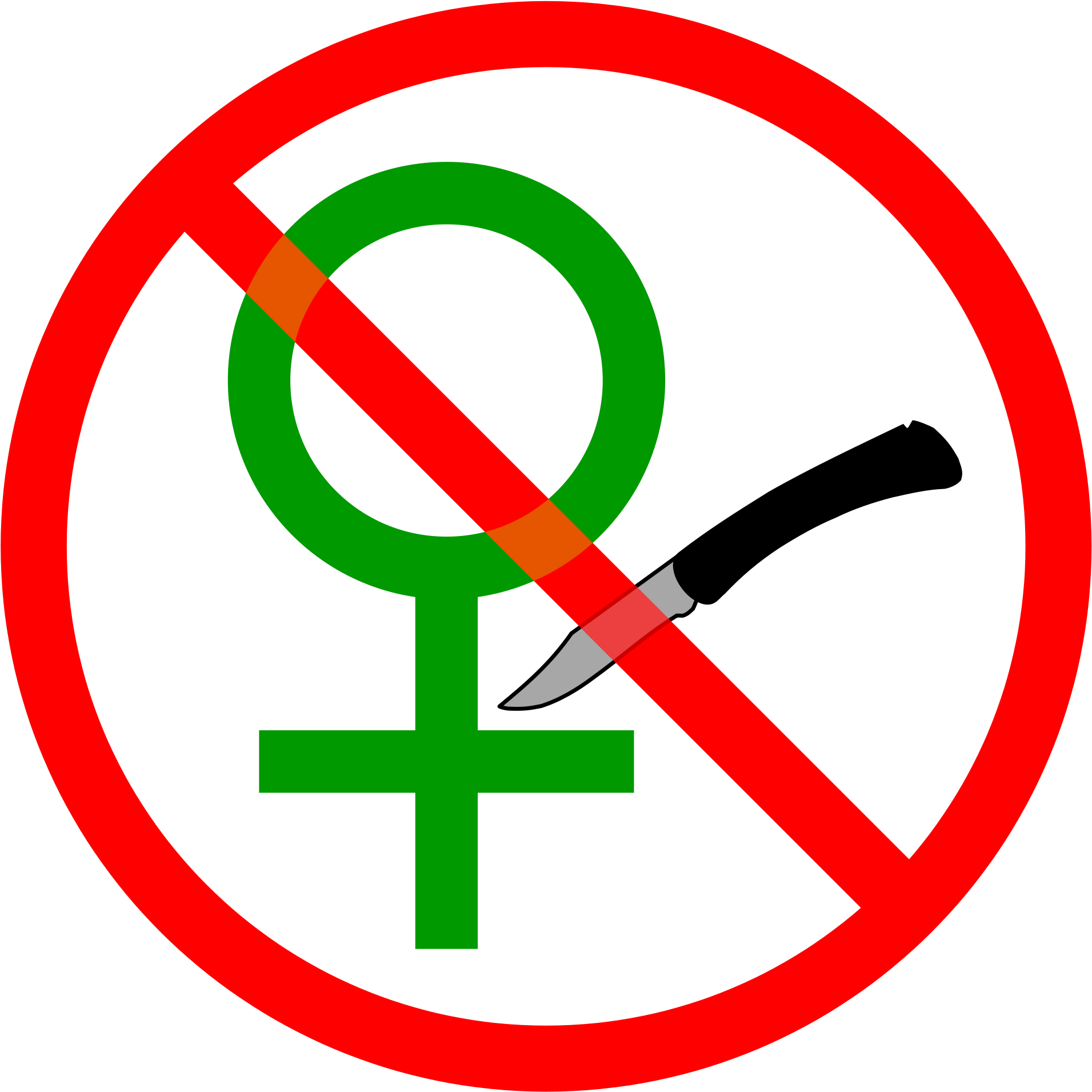 Stop Female Genital Mutilation - Fgm Human Rights Violation (2000x1983)