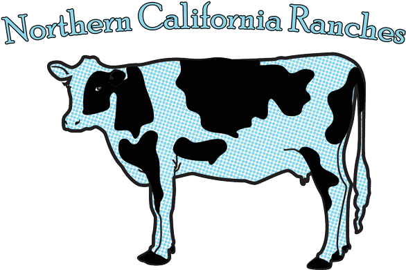 Prestigeartstudios Cow On Planks Framed Graphic Art (638x402)