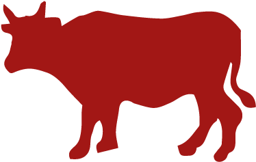 Storm Ranch - Dairy Cow (500x319)