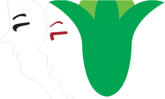 Ecwr Welcomes The Amendment Of The Inheritance Law - Egyptian Centre For Women's Rights (577x325)