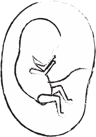 Fetus Human Growth In Placenta A Few Weeks - Fetus (550x550)