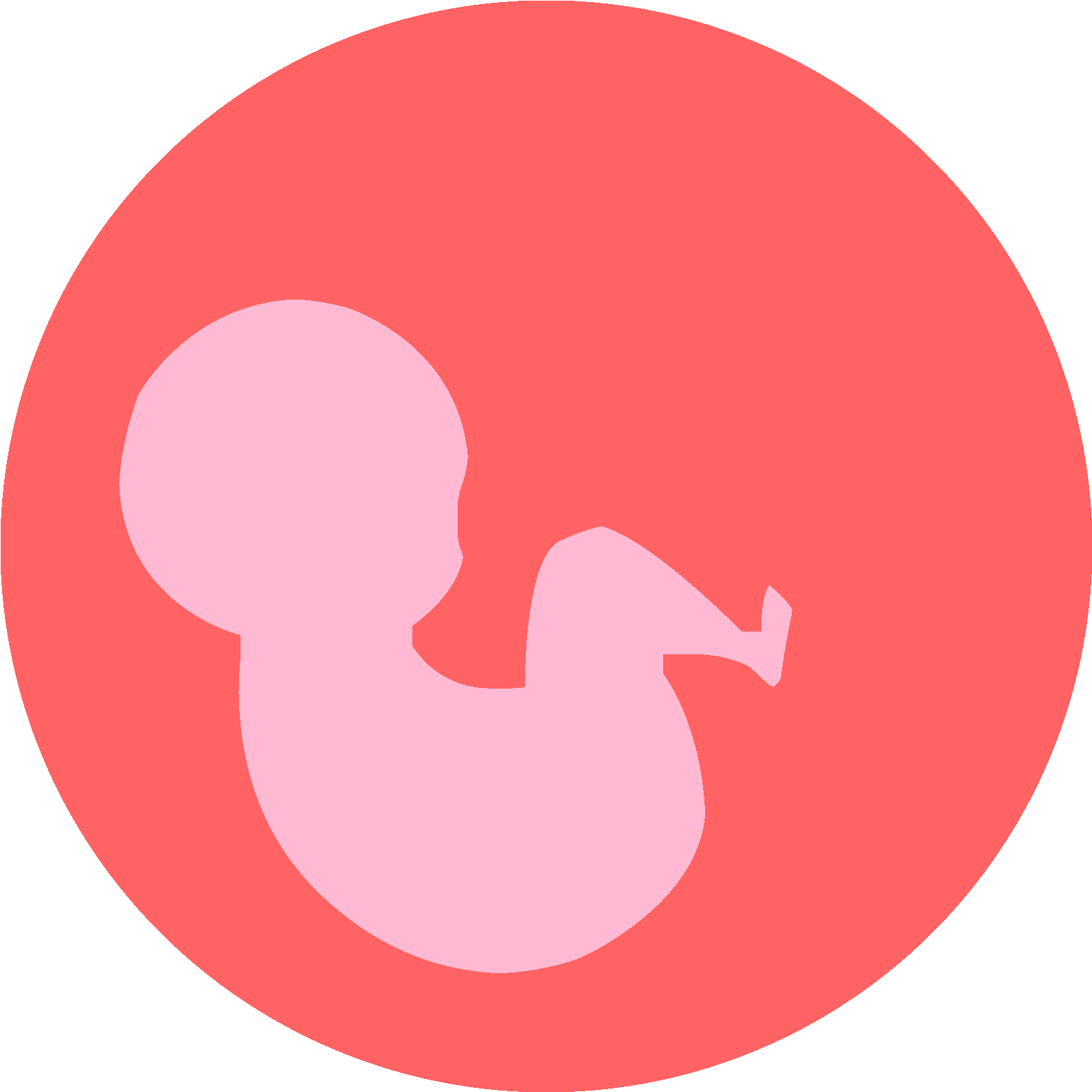 Maternal Malnutrition And Placental Defence And Transport - Portrait Of A Man (1602x1598)