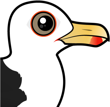 About The Great Black-backed Gull - Large White-headed Gulls (440x440)