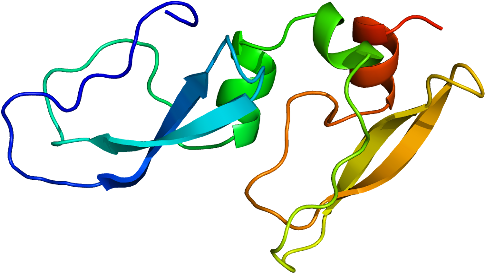 Alpha 1 Microglobulin Structure (1018x594)