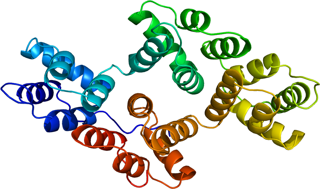 Anexina 2 (1067x650)