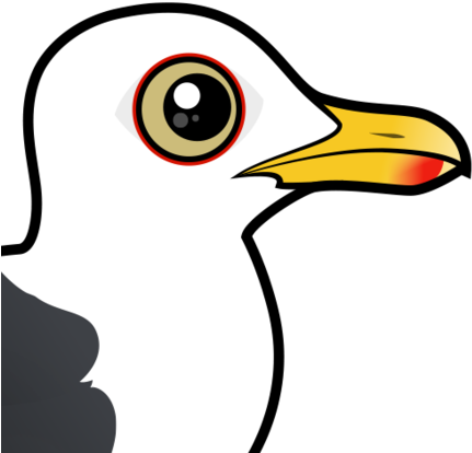 About The Western Gull - Coffee Cup (440x440)