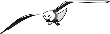 Sea Birds Clip Art Png (410x410)