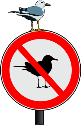 Picture - Vector Graphics (300x428)