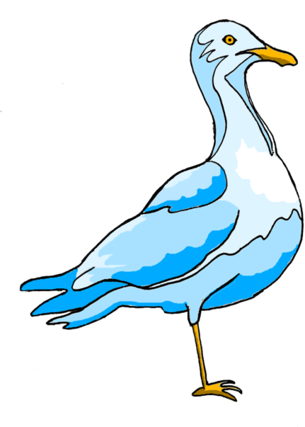 Illustration By Zach Molino - Gull (500x615)