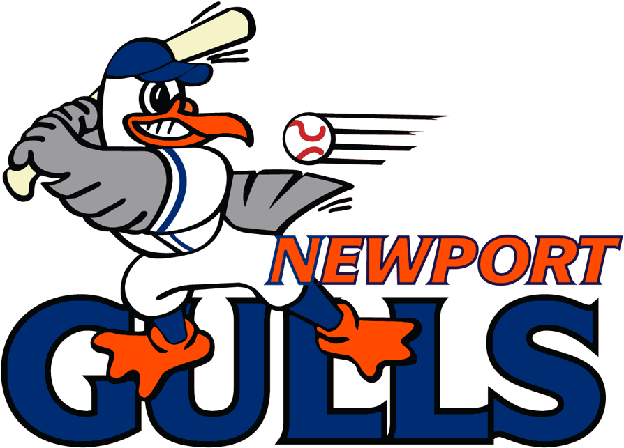 Newport Gulls (1024x683)