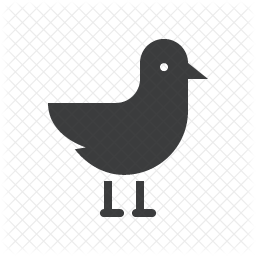 Seagull Icon - Pigeons And Doves (512x512)