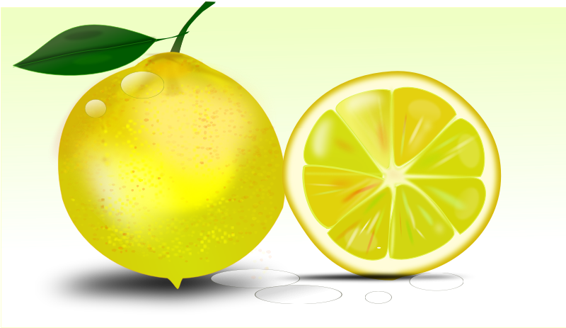 Lemon Slices Clip Art For Kids - Lemon (800x800)