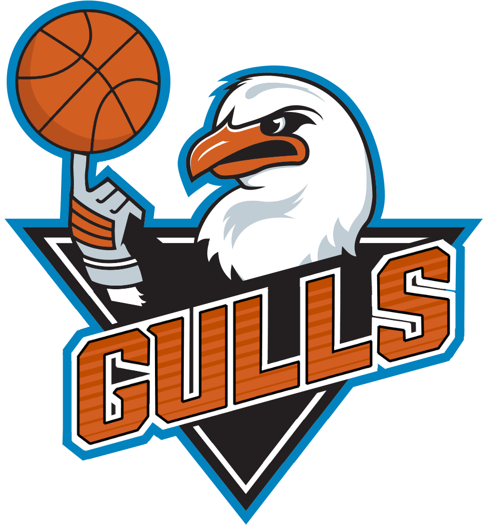 I Stole The Gulls Logo And Reworked It For My Nba 2k17 - Team Logo (1024x1024)