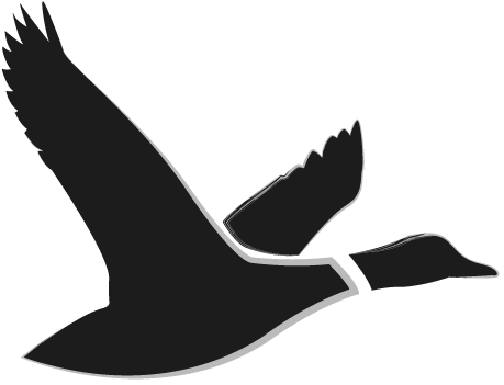 Matthew Duckworth Furniture - Alt Attribute (515x390)