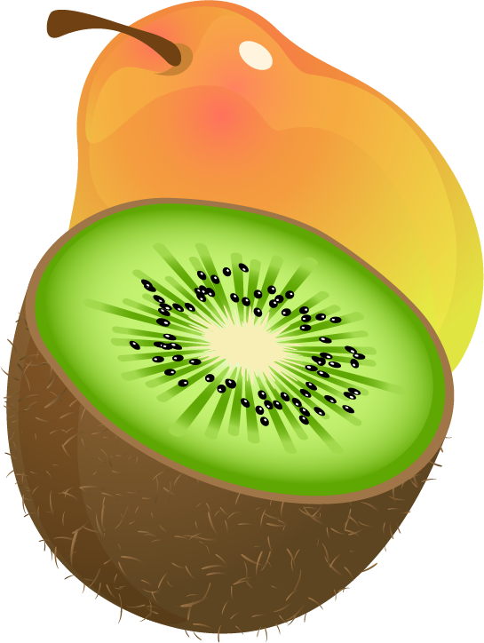 Kiwifruit Clip Art - Clip Art (545x724)