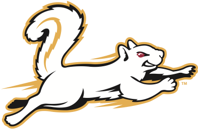 Oberlin Volleyball - Oberlin College Mascot Yeomen (400x400)