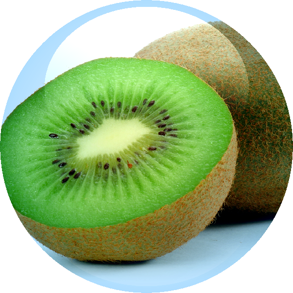 Kiwi Fruit Extract - Kiwi Fruit Extract (592x592)