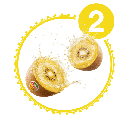 Supports A Health Immune System - Smartbox Jacksonville (450x450)