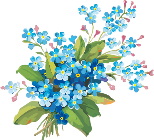 Forget Me Not Clipart One - Forget Me Not Png (500x454)