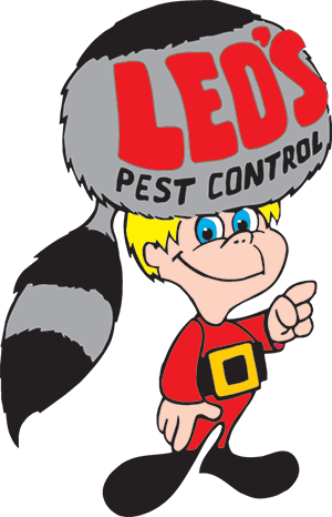 Do It Yourself Diy Pest Control - Pest Control (300x466)