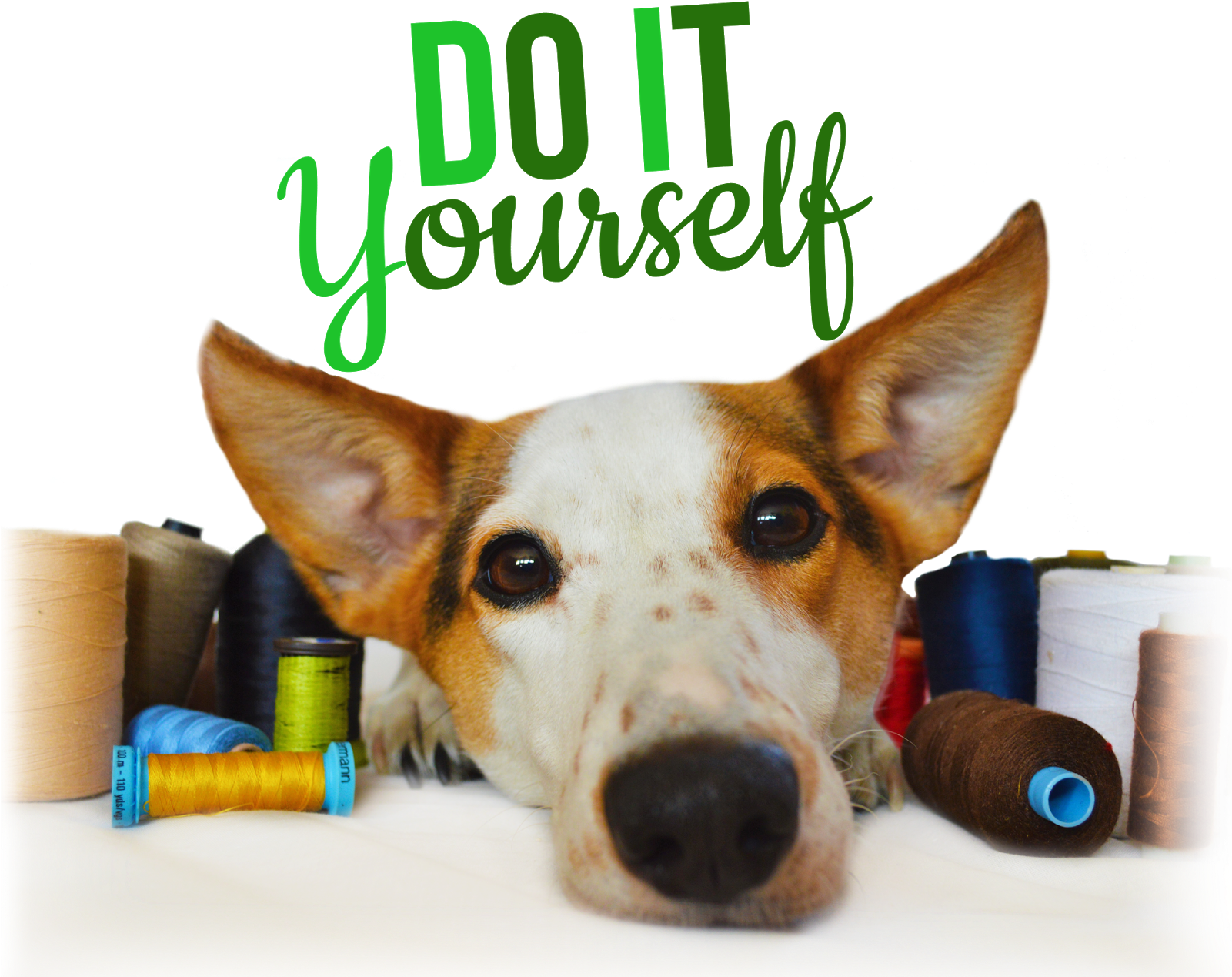 Diy - Companion Dog (1600x1277)