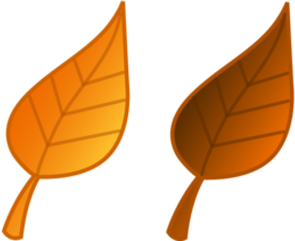 Leaves Clipart Colored - Fall Leaves Clip Art (640x480)