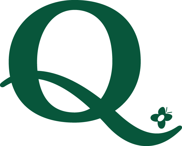 Letter Q Png Image Background - Letter Q With A Transparent Backound (636x512)