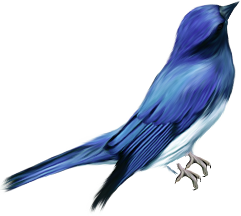 Bird Theme, Outdoor Garden Decor, Outdoor Patios, Patio - Aves Png (471x423)