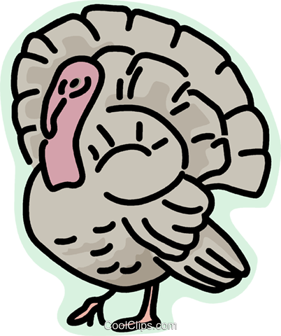 Wild Turkey Royalty Free Vector Clip Art Illustration - Html (402x480)