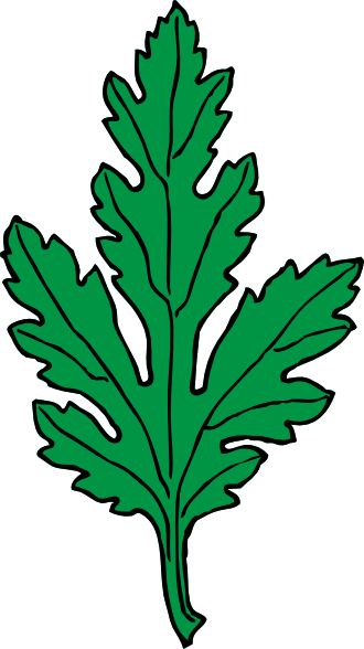 Watercolor Chrysanthemum, Cartoon, Hand Painted, Watercolor - Green Leaf Clip Art (330x588)