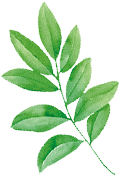 Tmall Cosmetics Shower Gel Jd - Sunscreen (800x800)