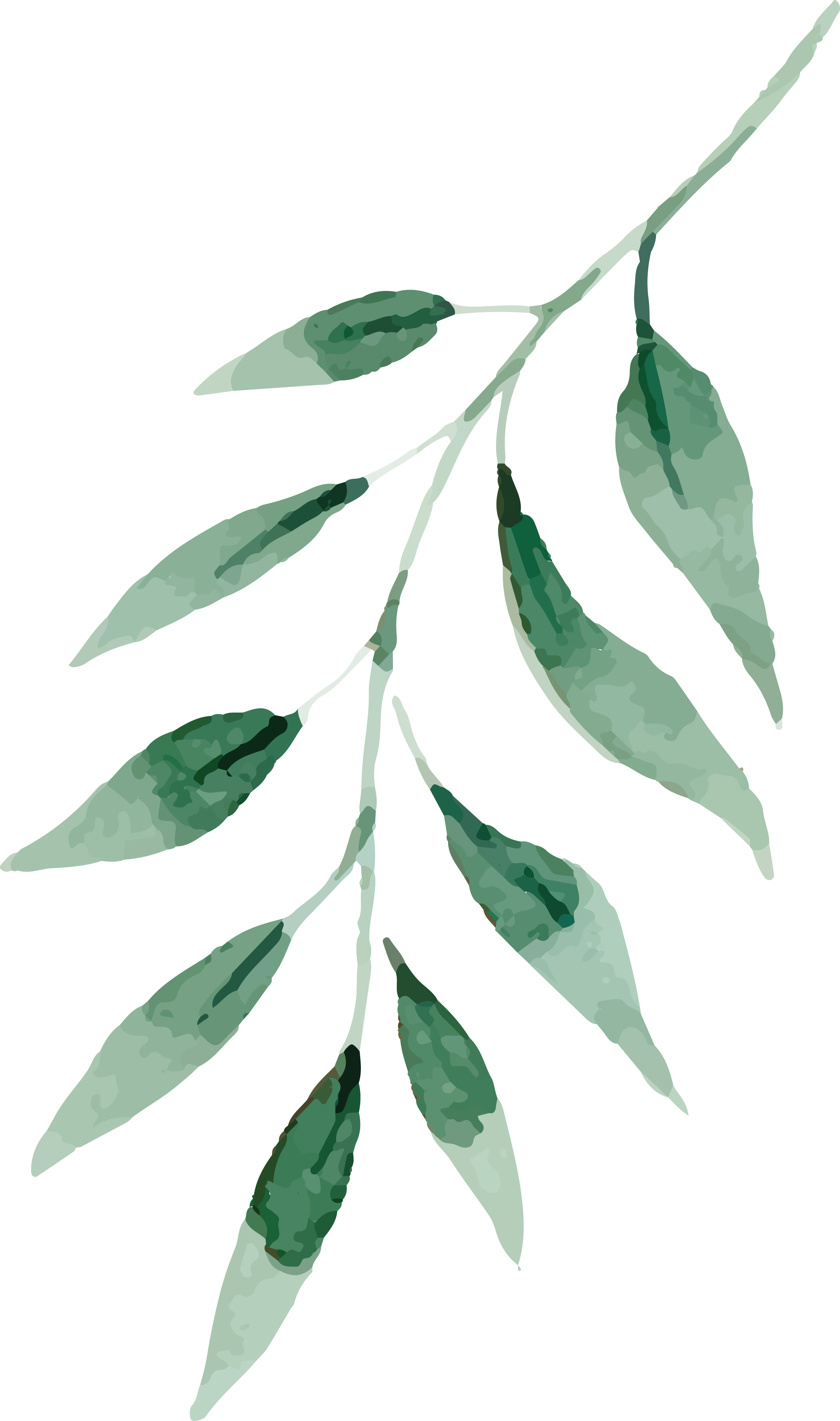 Watercolor Painting Drawing Leaf - Leaves Watercolor Png (2542x4299)